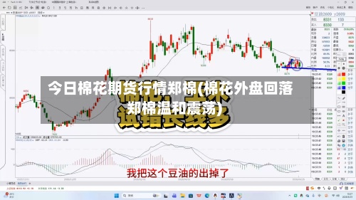 今日棉花期货行情郑棉(棉花外盘回落郑棉温和震荡)-第2张图片