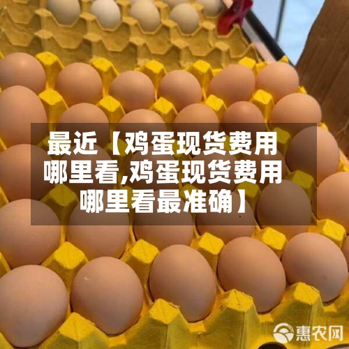 最近【鸡蛋现货费用
哪里看,鸡蛋现货费用
哪里看最准确】-第3张图片
