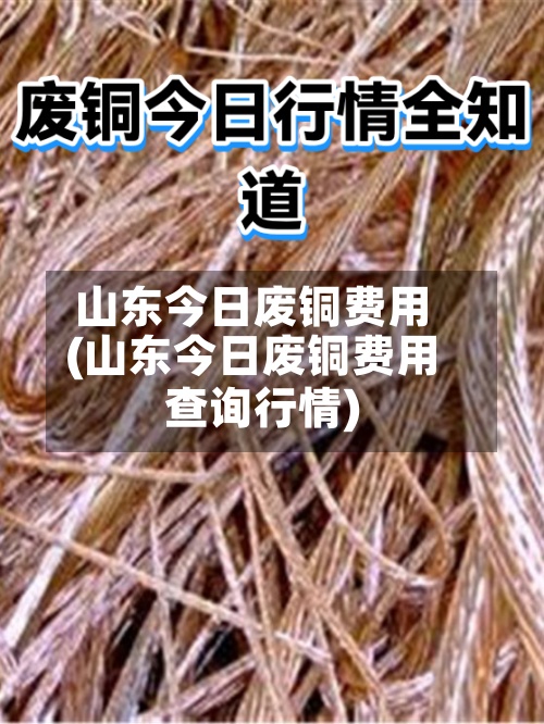 山东今日废铜费用(山东今日废铜费用查询行情)