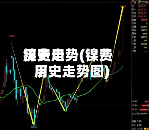 镍费用
历史走势(镍费用
历史走势图)-第3张图片