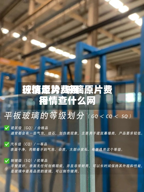 玻璃原片费用行情走势/玻璃原片费用行情查什么网