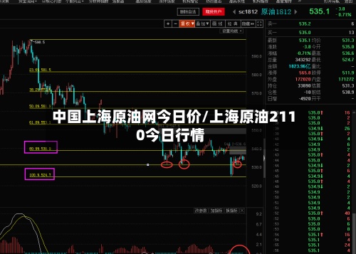 中国上海原油网今日价/上海原油2110今日行情