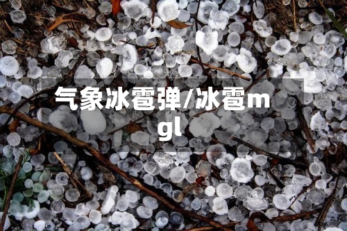 气象冰雹弹/冰雹mgl-第2张图片