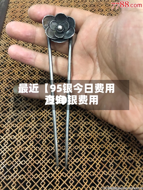 最近【95银今日费用
,950银费用
查询】-第2张图片
