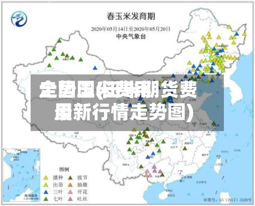 全国玉米费用走势国(玉米期货费用最新行情走势图)
