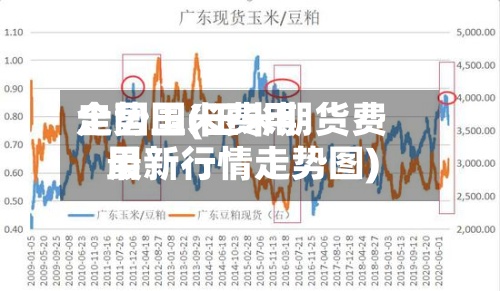 全国玉米费用
走势国(玉米期货费用
最新行情走势图)-第2张图片