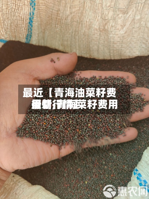 最近【青海油菜籽费用行情,青海菜籽费用最新行情】