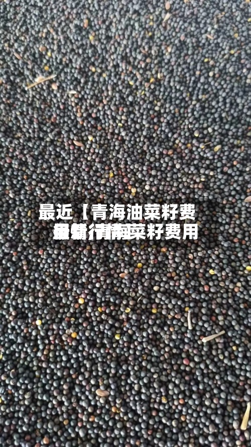 最近【青海油菜籽费用
行情,青海菜籽费用
最新行情】-第2张图片