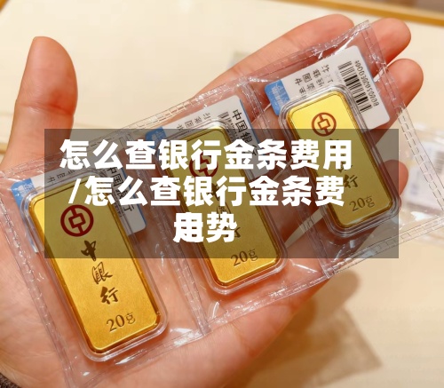 怎么查银行金条费用/怎么查银行金条费用走势