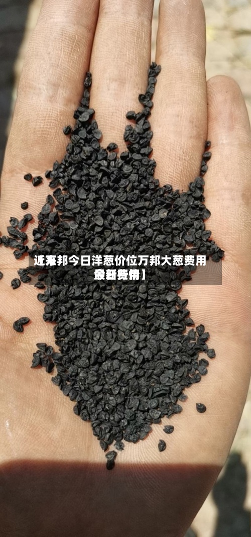 近来【万邦今日洋葱价位万邦大葱费用今日费用最新行情】