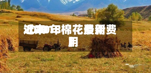 近来
【2018棉花费用
2020年棉花最新费用
】-第3张图片