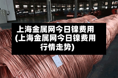 上海金属网今日镍费用(上海金属网今日镍费用行情走势)