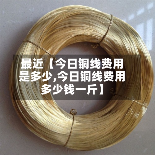 最近【今日铜线费用是多少,今日铜线费用多少钱一斤】-第2张图片