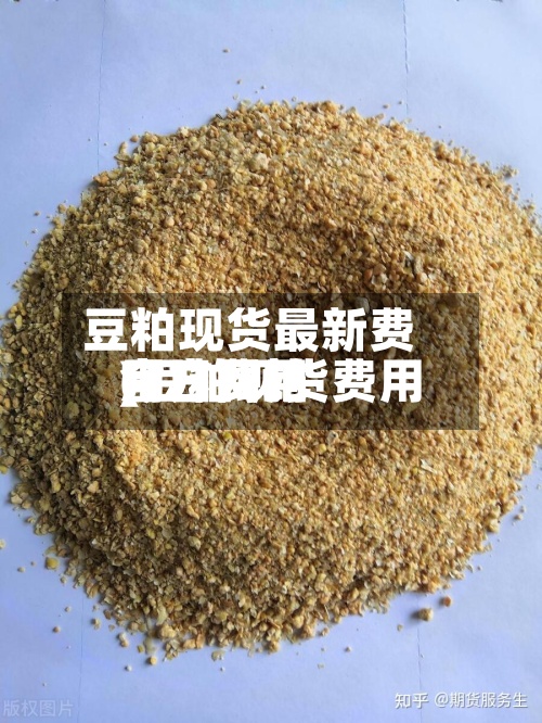 豆粕现货最新费用(豆粕现货费用今日费用官方网站)