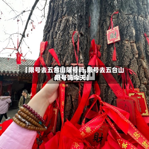 【限号去五台山限号吗,限号去五台山限号吗今天】-第2张图片