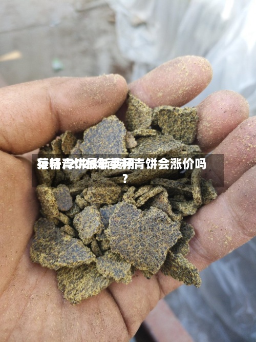 菜籽青饼最新费用行情/2026年菜籽青饼会涨价吗?