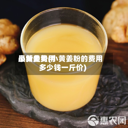 小黄姜费用最新走势(小黄姜粉的费用多少钱一斤价)