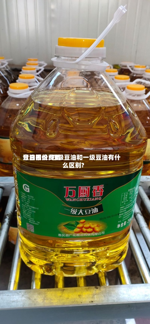 豆油四级费用今日报价/四级豆油和一级豆油有什么区别?