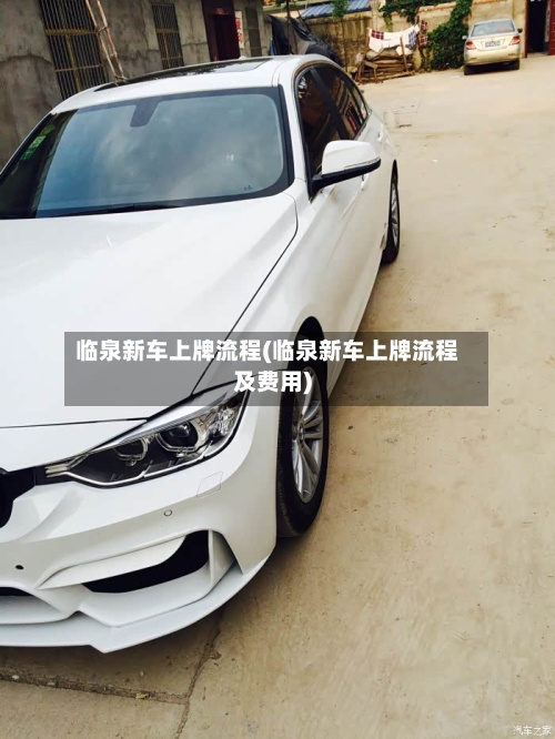 临泉新车上牌流程(临泉新车上牌流程及费用)-第3张图片