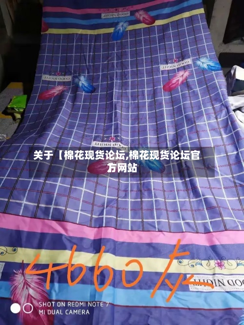 关于【棉花现货论坛,棉花现货论坛官方网站
】-第2张图片
