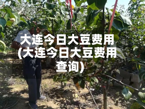 大连今日大豆费用
(大连今日大豆费用
查询)-第3张图片