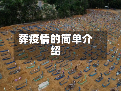 葬疫情的简单介绍