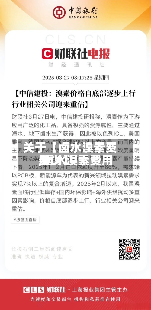 关于【卤水溴素费用,卤水溴素费用多少】