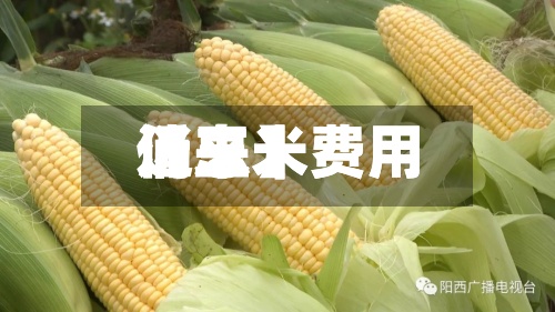 近来【玉米费用仍玉米费用消息】-第2张图片