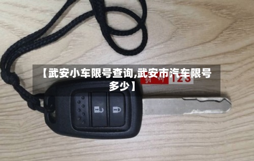 【武安小车限号查询,武安市汽车限号多少】-第3张图片