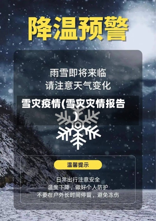 雪灾疫情(雪灾灾情报告)