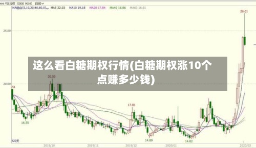 这么看白糖期权行情(白糖期权涨10个点赚多少钱)