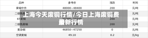 上海今天废铜行情/今日上海废铜费用最新行情
