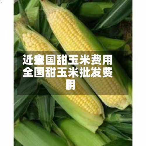 近来
【全国甜玉米费用
全国甜玉米批发费用
】-第2张图片