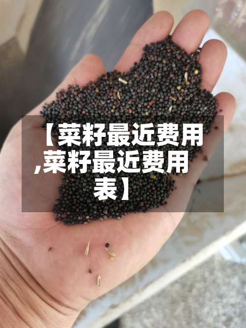 【菜籽最近费用
,菜籽最近费用
表】-第2张图片