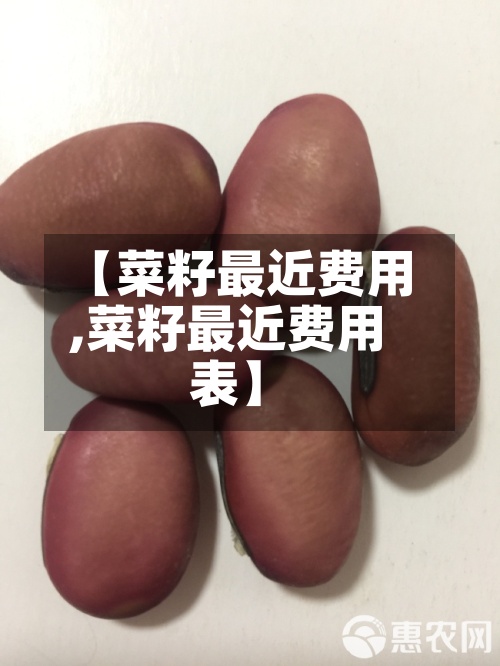 【菜籽最近费用,菜籽最近费用表】