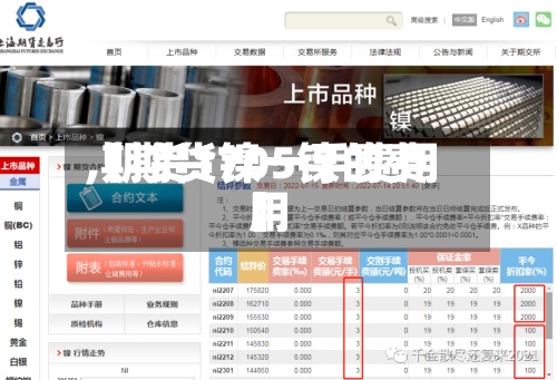 【期货镍一手费用,期货1705镍的费用】-第2张图片