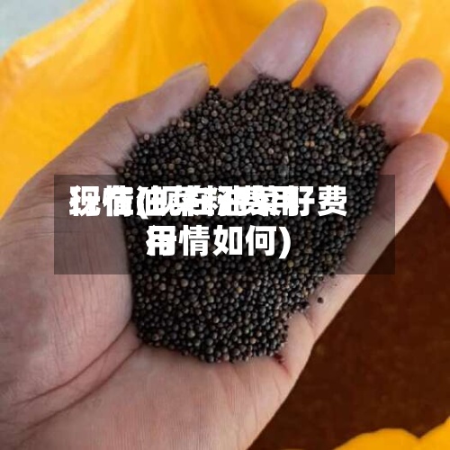 现在油菜籽费用
行情(现在油菜籽费用
行情如何)-第2张图片