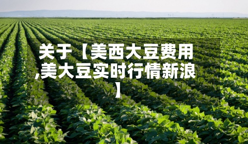 关于【美西大豆费用,美大豆实时行情新浪】