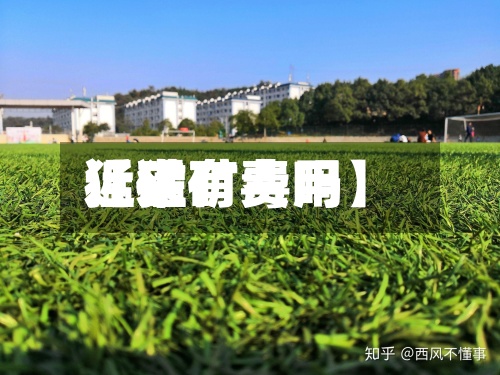 近来
【猛矿费用
猛矿有毒吗】-第2张图片