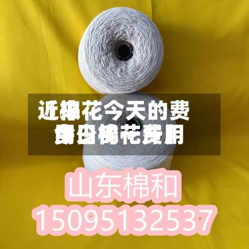 近来【棉花今天的费用今日棉花费用多少钱一斤】-第2张图片
