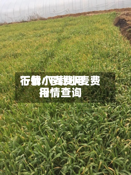 下载小麦费用
行情/下载小麦费用
行情查询-第2张图片