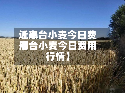 近来【邢台小麦今日费用邢台小麦今日费用行情】-第3张图片