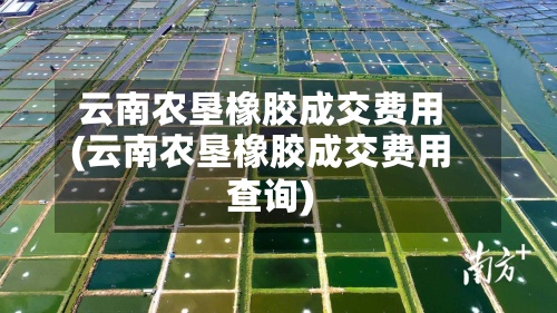 云南农垦橡胶成交费用(云南农垦橡胶成交费用查询)