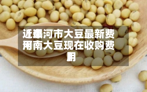 近来【漯河市大豆最新费用河南大豆现在收购费用】