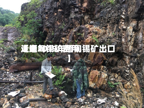 近来
【缅甸锡矿费用
走逝2019年缅甸锡矿出口】-第3张图片