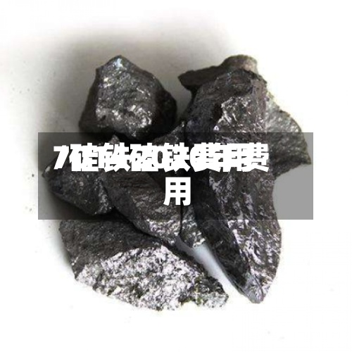 7014硅铁费用/硅铁2020年费用