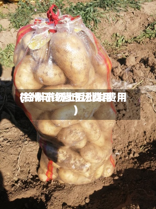 徐州马铃薯市场费用
(徐州市场土豆批发费用
)-第3张图片