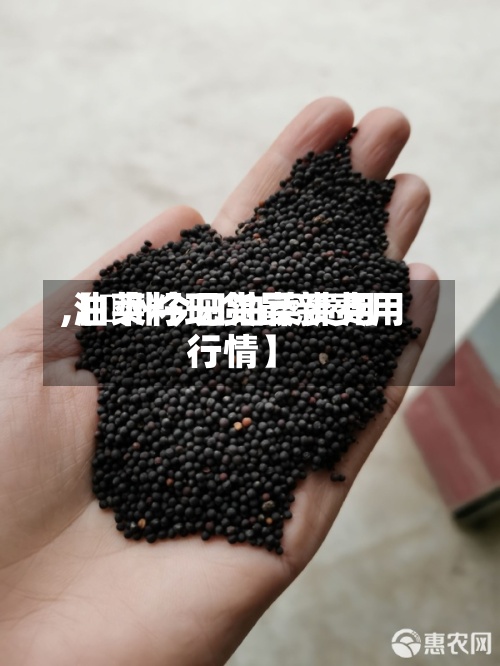 【鄭州今日油菜费用,油菜籽现货最新费用行情】