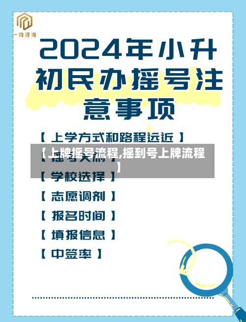【上牌摇号流程,摇到号上牌流程】