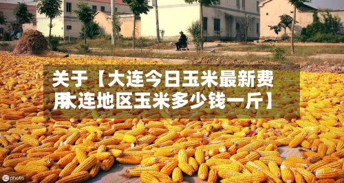 关于【大连今日玉米最新费用,大连地区玉米多少钱一斤】-第3张图片